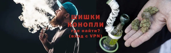 молекула духа Белокуриха
