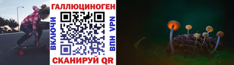 гидра ТОР  купить наркотик  Владивосток  Псилоцибиновые грибы Psilocybe 
